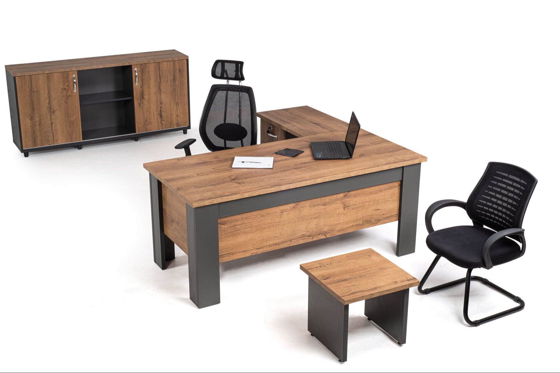 Batı Makam Takımı