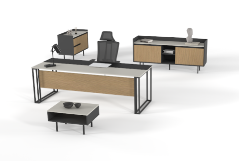 Vienna Makam Takımı