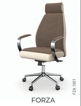 Akburo Ofis Forza  Müdür