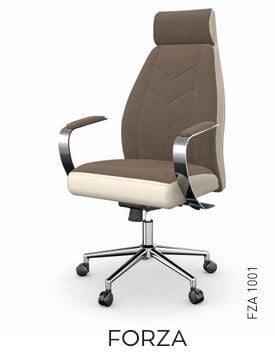 Akburo Ofis Forza  Müdür