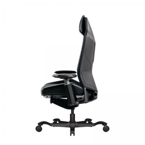 Bristol Makam Ve Oyuncu Koltuğu