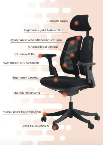 Balance Müdür Koltuğu
