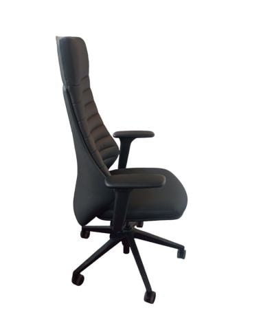Akburo Ofis Canvas Müdür Koltuğu
