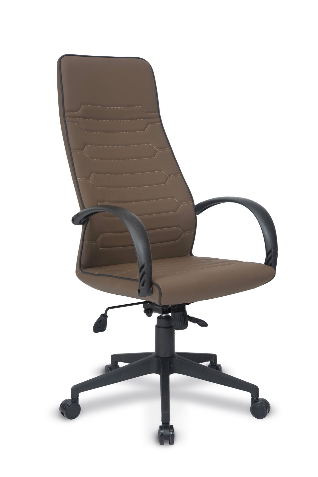 NANO MÜDÜR KOLTUĞU